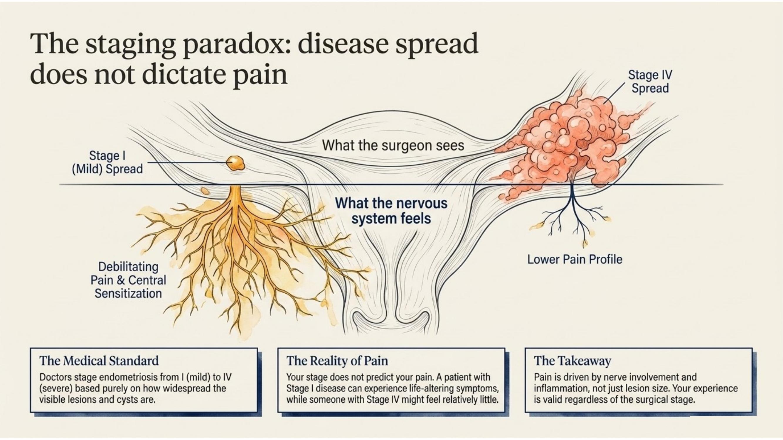 Illustration of non-pain symptoms of endometriosis: fatigue, bloating, heavy bleeding, fertility issues